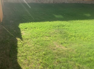 1 Canonsburg Pa Lawn Care Service Lawn Mowing From 19 Best 2020