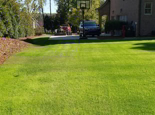 Canton Ga Lawn Care Service Lawn Mowing From 19 Rated Best 2020