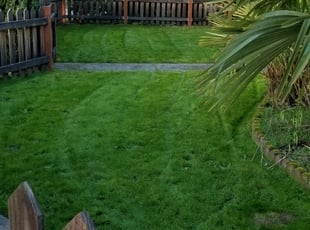Canton Mi Lawn Care Service Lawn Mowing From 19 Rated Best 2020