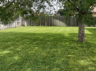 Canton Mi Lawn Care Service Lawn Mowing From 19 Rated Best 2020