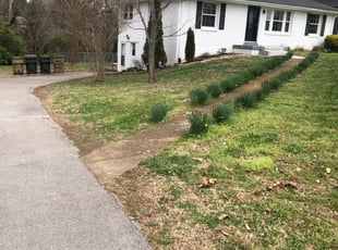 13 Best Lawn Care Services in Canton, NC 2020 | LawnStarter