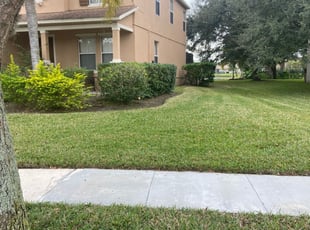 Canyon Lake Tx Lawn Care Service Lawn Mowing From 19 Rated Best 2020