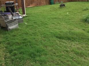 1 Carol Stream Il Lawn Care Service Lawn Mowing From 19 Best 2020