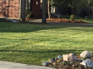 1 Carrollton Ga Lawn Care Service Lawn Mowing From 19 Best 2020