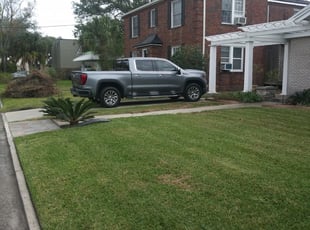 1 Carrollton Ga Lawn Care Service Lawn Mowing From 19 Best 2020