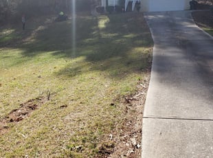 1 Carrollton Ga Lawn Care Service Lawn Mowing From 19 Best 2020