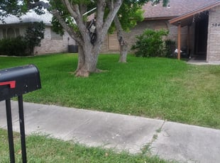 1 Carrollton Ga Lawn Care Service Lawn Mowing From 19 Best 2020