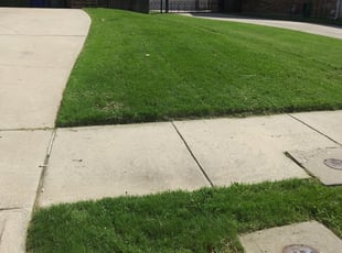 Carrollton Tx Lawn Care Service Lawn Mowing From 19 Rated Best 2020
