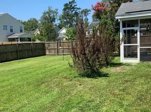 Carrollton Tx Lawn Care Service Lawn Mowing From 19 Rated Best 2020