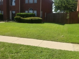 Carrollton Tx Lawn Care Service Lawn Mowing From 19 Rated Best 2020