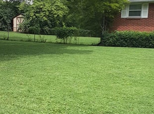 Carrollton Tx Lawn Care Service Lawn Mowing From 19 Rated Best 2020