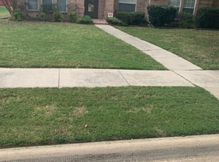 Carrollton Tx Lawn Care Service Lawn Mowing From 19 Rated Best 2020