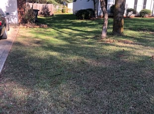 Cartersville Ga Lawn Care Service Lawn Mowing From 19 Rated Best 2020