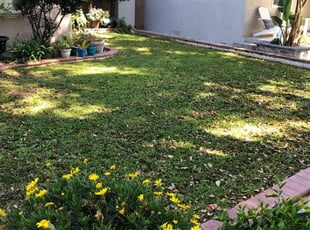 Cartersville Ga Lawn Care Service Lawn Mowing From 19 Rated Best 2020