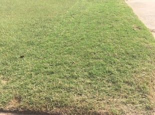 Cartersville Ga Lawn Care Service Lawn Mowing From 19 Rated Best 2020