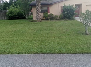 1 Carthage Tn Lawn Care Service Lawn Mowing From 19 Best 2020