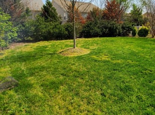 Cary Nc Lawn Care Service Lawn Mowing From 19 Rated Best 2020