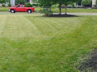 Cary Nc Lawn Care Service Lawn Mowing From 19 Rated Best 2020