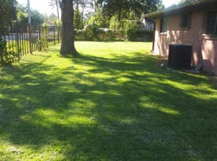 1 Casselberry Fl Lawn Care Service Lawn Mowing From 19 Best 2020