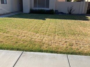 1 Casselberry Fl Lawn Care Service Lawn Mowing From 19 Best 2020