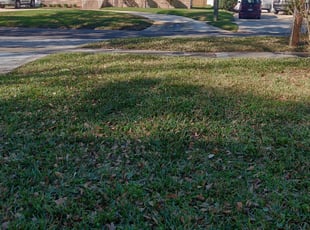 7 Best Lawn Care Services in Castaic, CA 2020 | LawnStarter