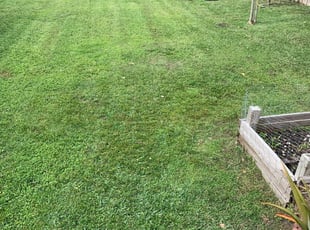 1 Castle Rock Co Lawn Care Service Lawn Mowing From 19 Best 2020