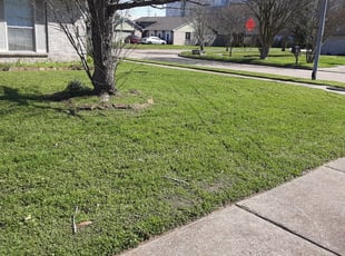 1 Castle Rock Co Lawn Care Service Lawn Mowing From 19 Best 2020