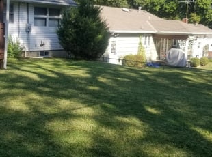 1 Catonsville Md Lawn Care Service Lawn Mowing From 19 Best 2020