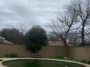 1 Cedar Hill Tx Lawn Care Service Lawn Mowing From 19 Best 2020