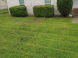 1 Cedar Hill Tx Lawn Care Service Lawn Mowing From 19 Best 2020