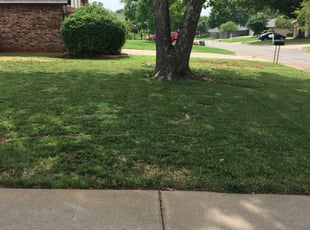 The 10 Best Lawn Care Services In Rowlett Tx From 39
