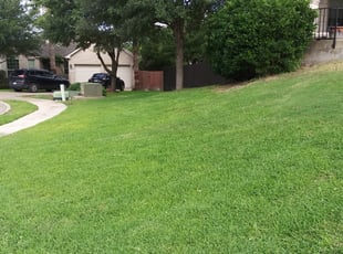 Cedar Park Tx Lawn Care Service Lawn Mowing From 19 Rated Best 2020