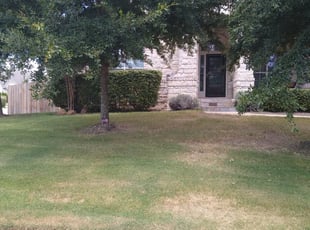 Cedar Park Tx Lawn Care Service Lawn Mowing From 19 Rated Best 2020