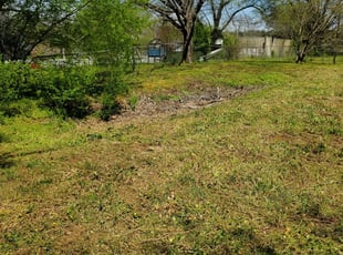 1 Chantilly Va Lawn Care Service Lawn Mowing From 19 Best 2020