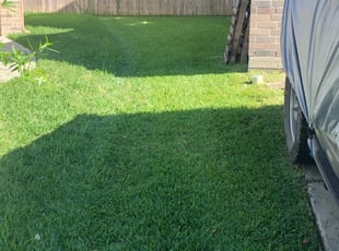 1 Chantilly Va Lawn Care Service Lawn Mowing From 19 Best 2020