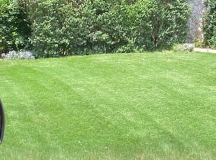 Chapel Hill Nc Lawn Care Service Lawn Mowing From 19 Rated Best 2020