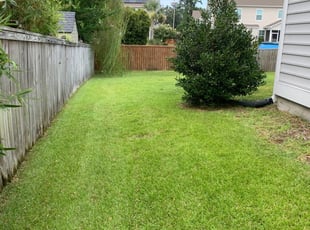 Charleston Sc Lawn Care Service Lawn Mowing From 19 Rated Best 2020