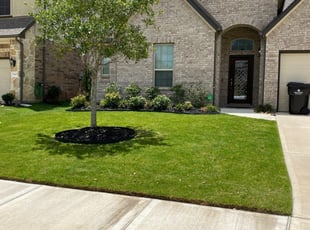 Charleston Sc Lawn Care Service Lawn Mowing From 19 Rated Best 2020