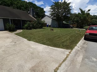 Charleston Sc Lawn Care Service Lawn Mowing From 19 Rated Best 2020