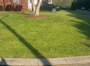 1 Chattanooga Tn Lawn Care Service Lawn Mowing From 19 Best 2020