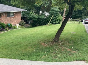 1 Chattanooga Tn Lawn Care Service Lawn Mowing From 19 Best 2020
