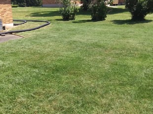1 Cheney Wa Lawn Care Service Lawn Mowing From 19 Best 2020
