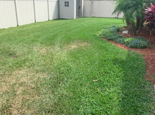Cherry Hill Nj Lawn Care Service Lawn Mowing From 19 Rated Best 2020