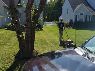 1 Chester Pa Lawn Care Service Lawn Mowing From 19 Best 2020