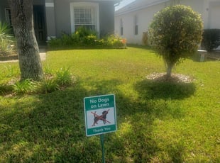 Chester Sc Lawn Care Service Lawn Mowing From 19 Rated Best 2020