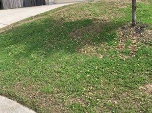 Chester, SC Lawn Care Service | Lawn Mowing from $19 ...