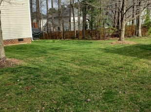 1 Chesterfield Va Lawn Care Service Lawn Mowing From 19 Best 2020