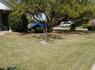 1 Chicago Heights Il Lawn Care Service Lawn Mowing From 19 Best 2020
