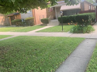 Chicago Il Lawn Care Service Lawn Mowing From 19 Rated Best 2020