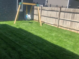 Chicago Il Lawn Care Service Lawn Mowing From 19 Rated Best 2020